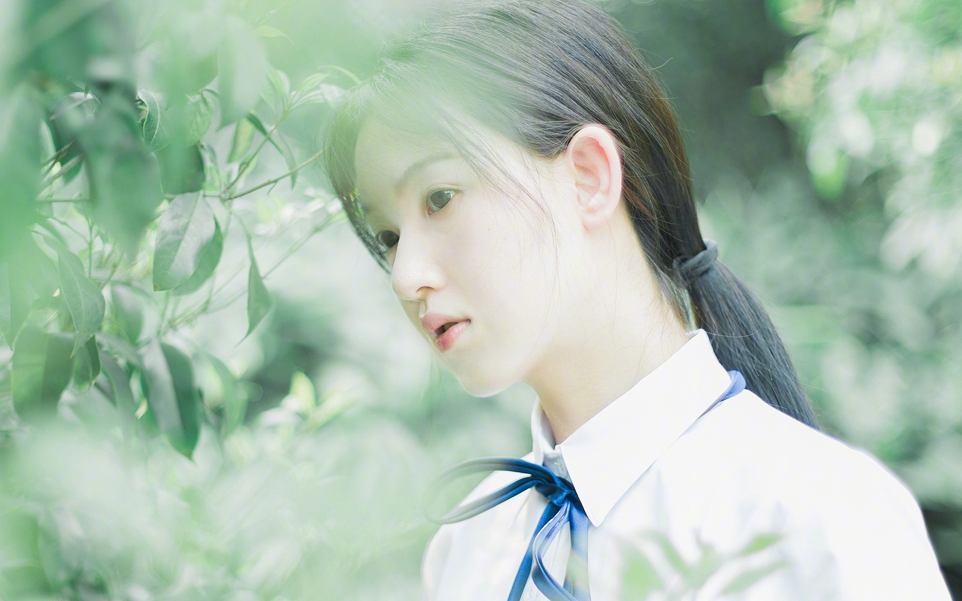 双线对决，F1银石狂飙与拉齐奥冲垮枪手