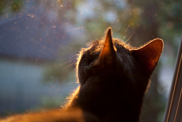 坎特,大场面先生的典范与英格兰稳稳拿下冰岛的启示