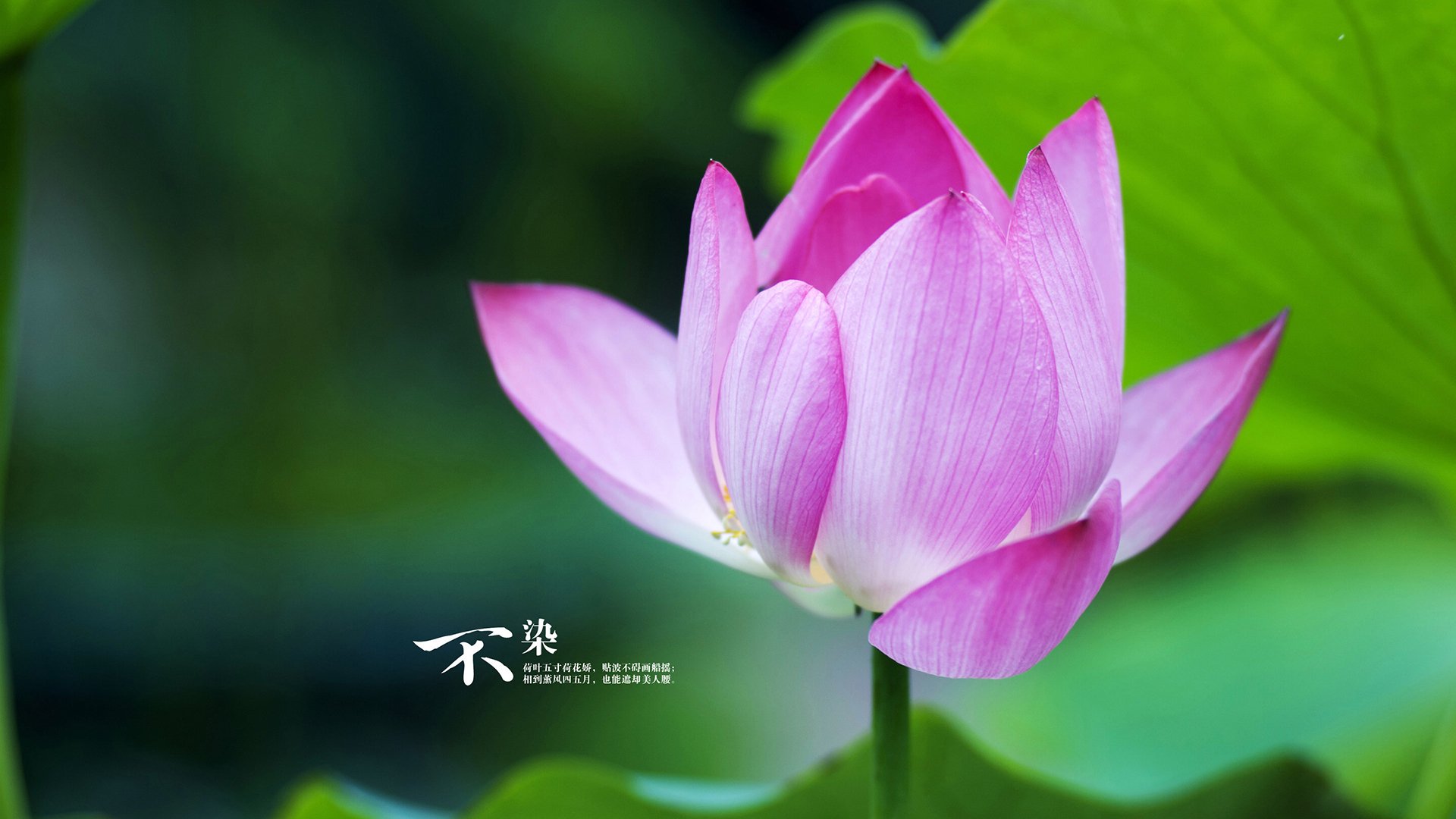 当希腊众神降临绿茵场，一场数据爆炸如何重写足球叙事