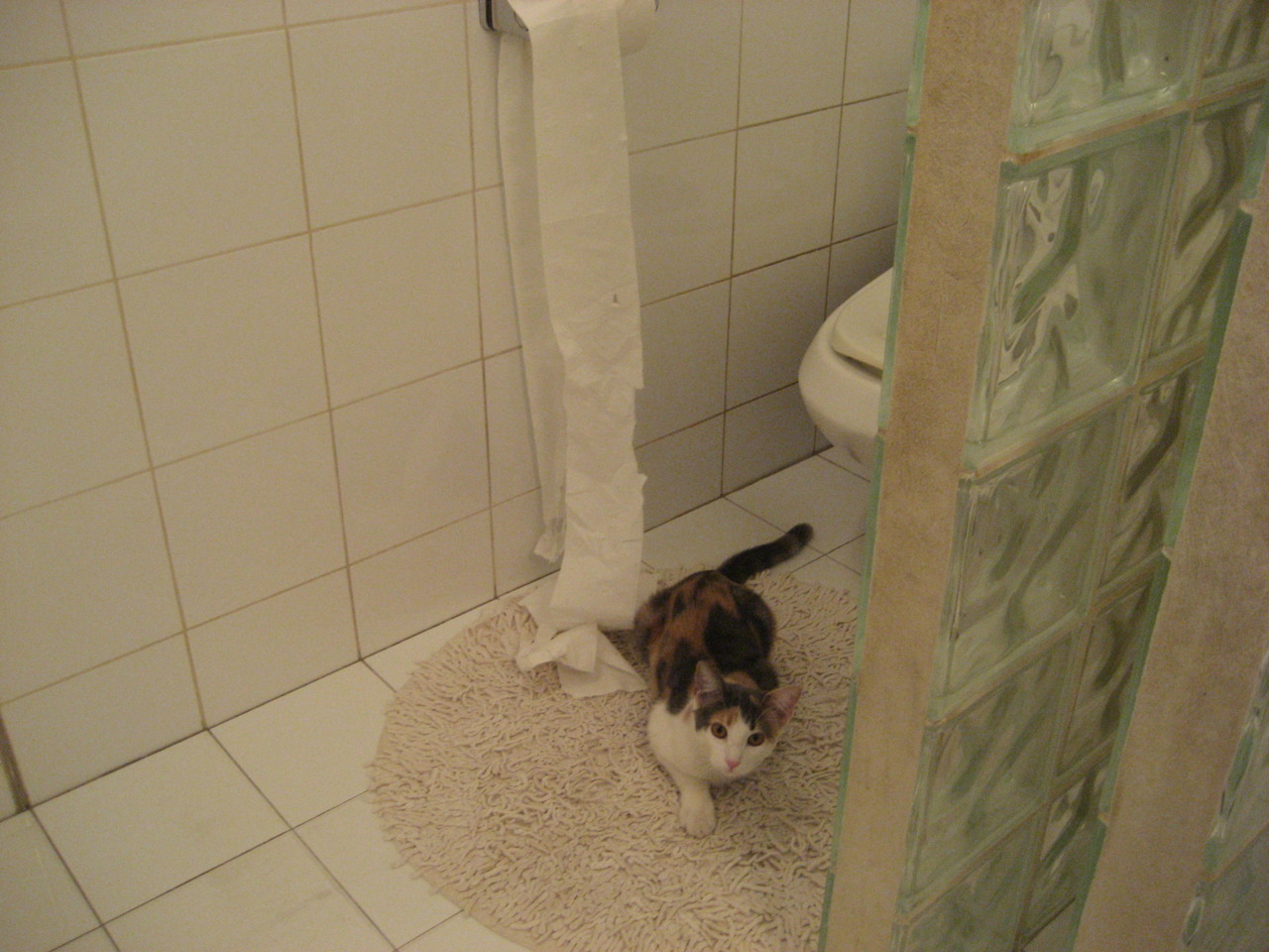 埃及对阵莱比锡红牛,欧冠关键战的战术博弈京多安关键战不手软,德国中场大师主导比赛走向