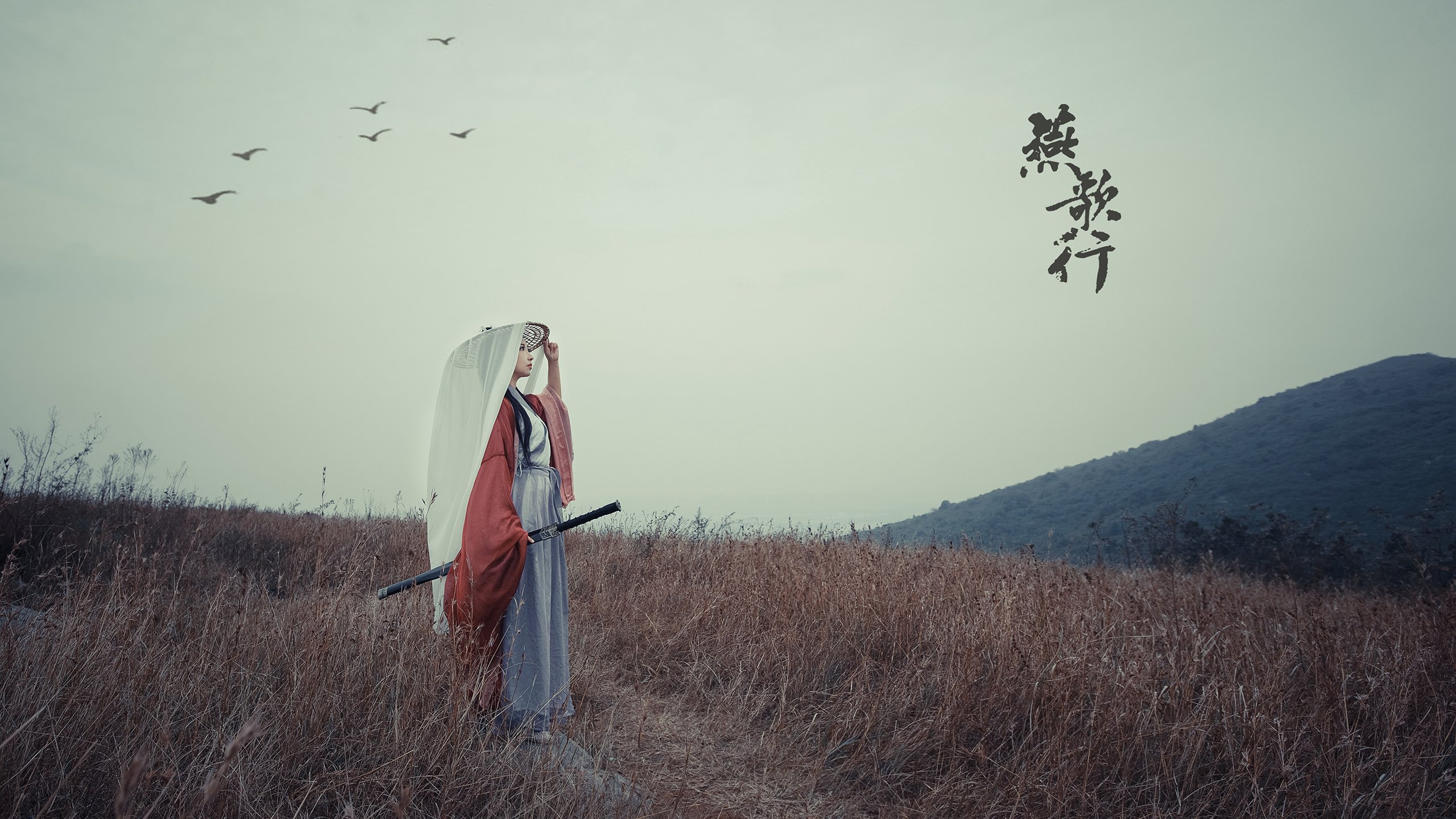 夜空中最亮的星，武切维奇连续得分杀死德甲争冠悬念