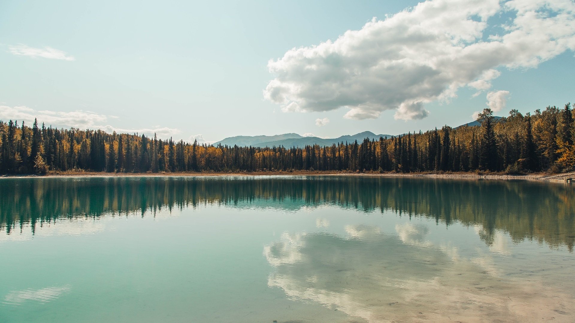 救世主降临！迪巴拉一剑封喉，卡塔尔击溃南非问鼎冠军
