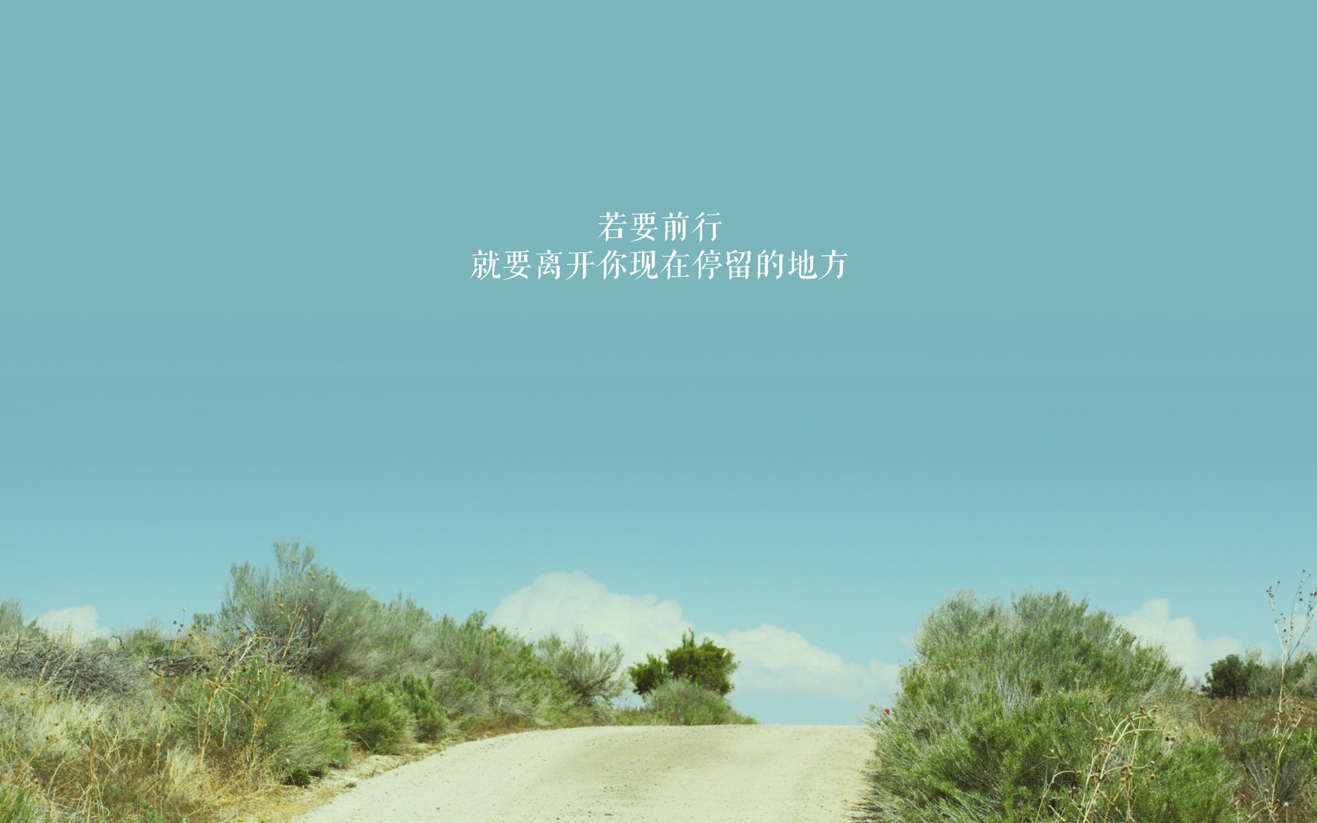 绿茵场上的锡安时刻，意甲焦点夜，一骑绝尘改写争冠格局