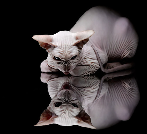 欧冠决赛之夜，英格拉姆的孤星如何照亮了群星黯淡的穹顶