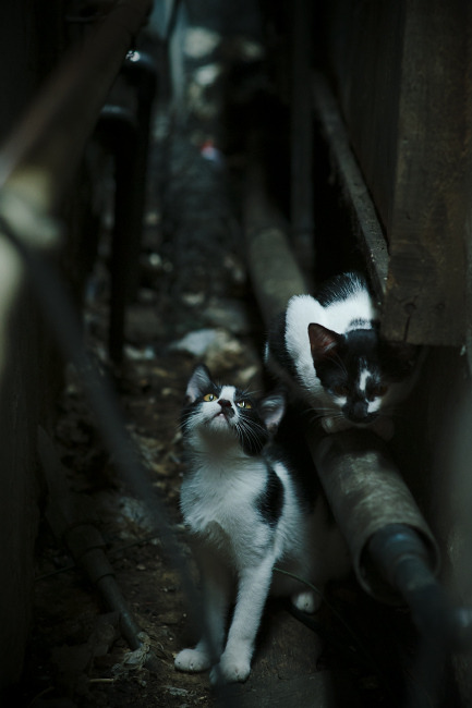 曼城统治与格纳布里之矛，英格兰足球的重构与破局