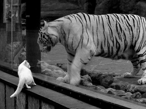 霍勒迪末节15分导演逆转,热火主场灼伤骑士