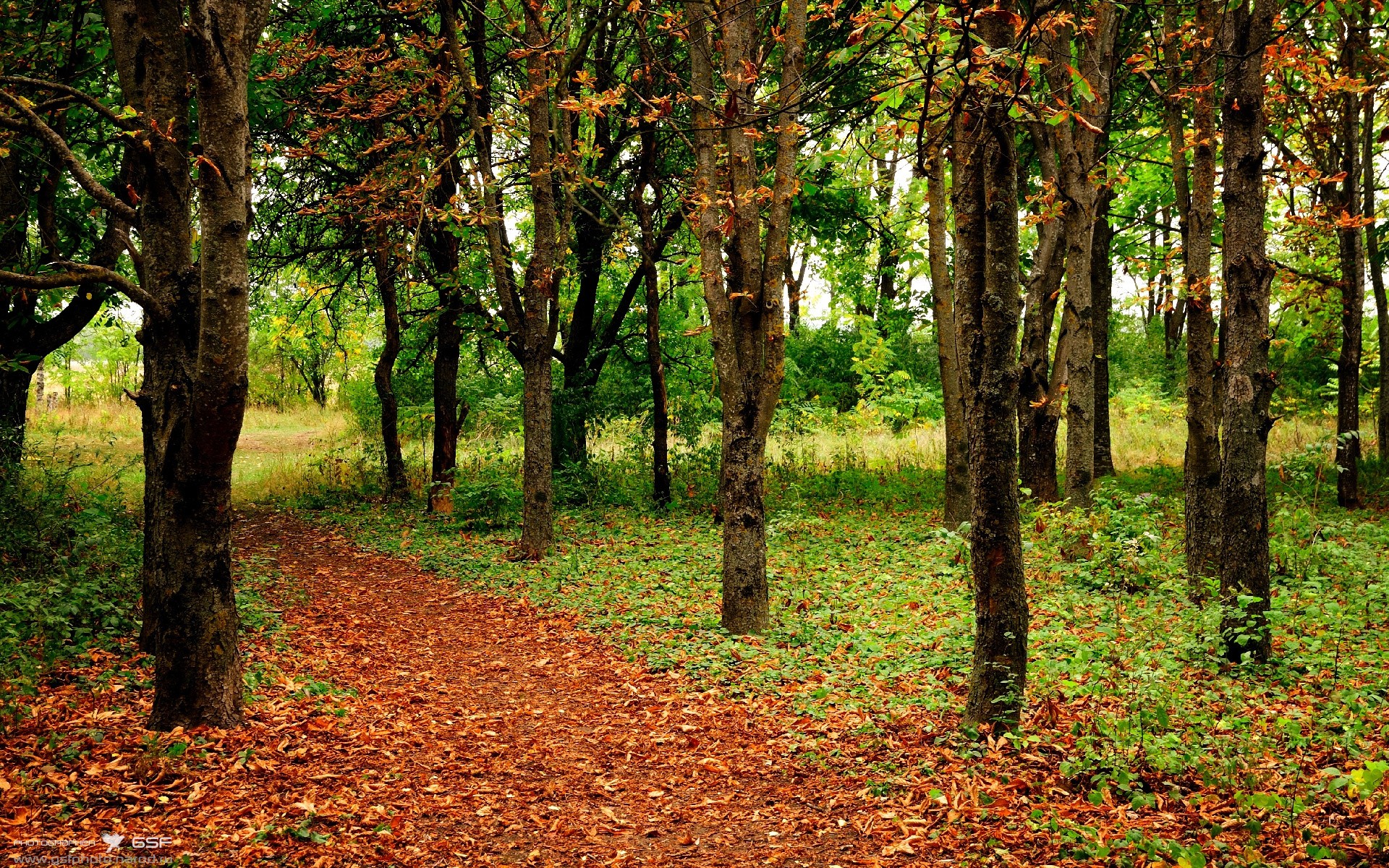 被三人合围依然轰下40+杜兰特在聚光灯下，将质疑炼成勋章