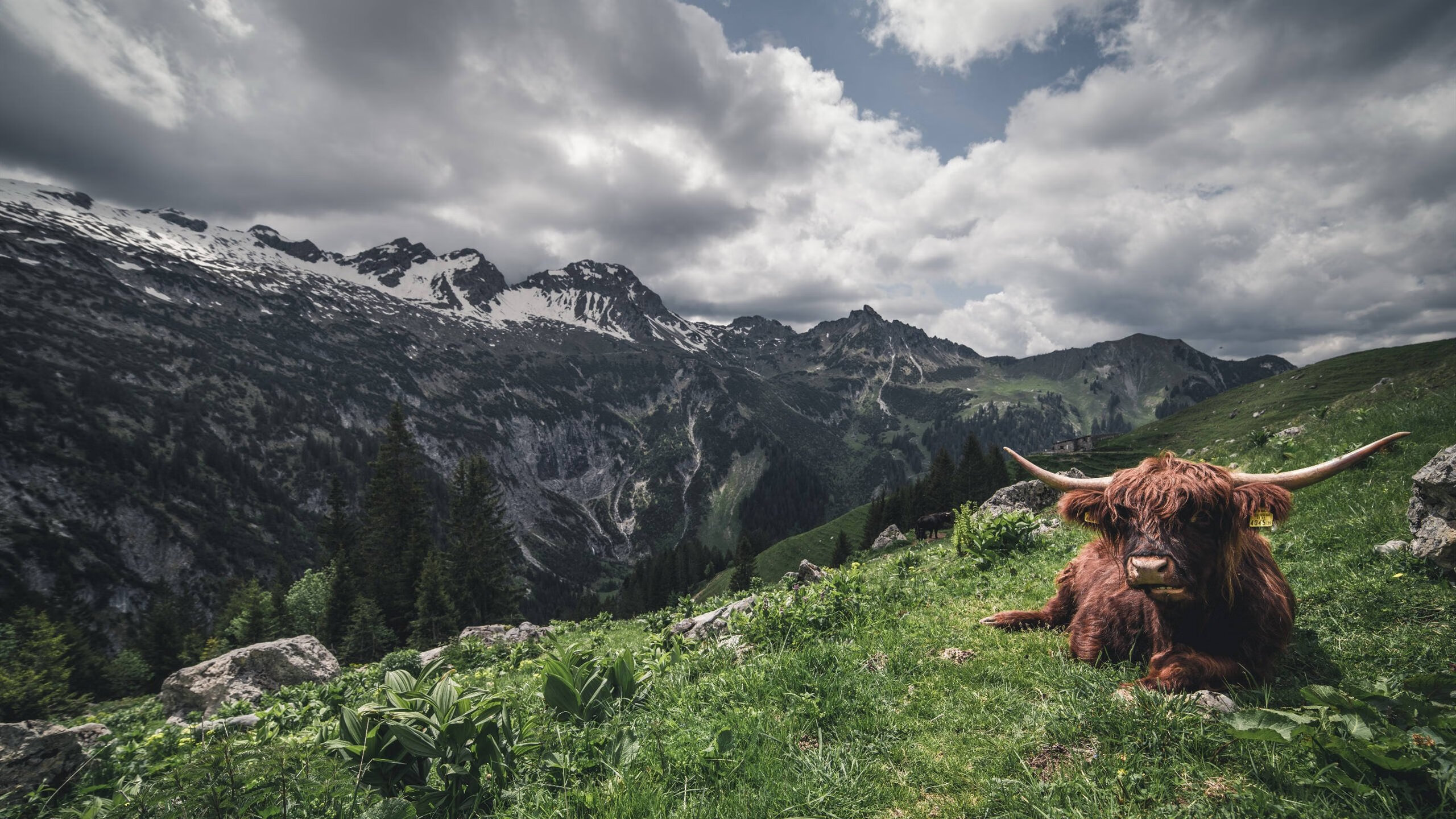 马赛航船意外倾覆欧陆，凯恩孤身擎旗立苍穹