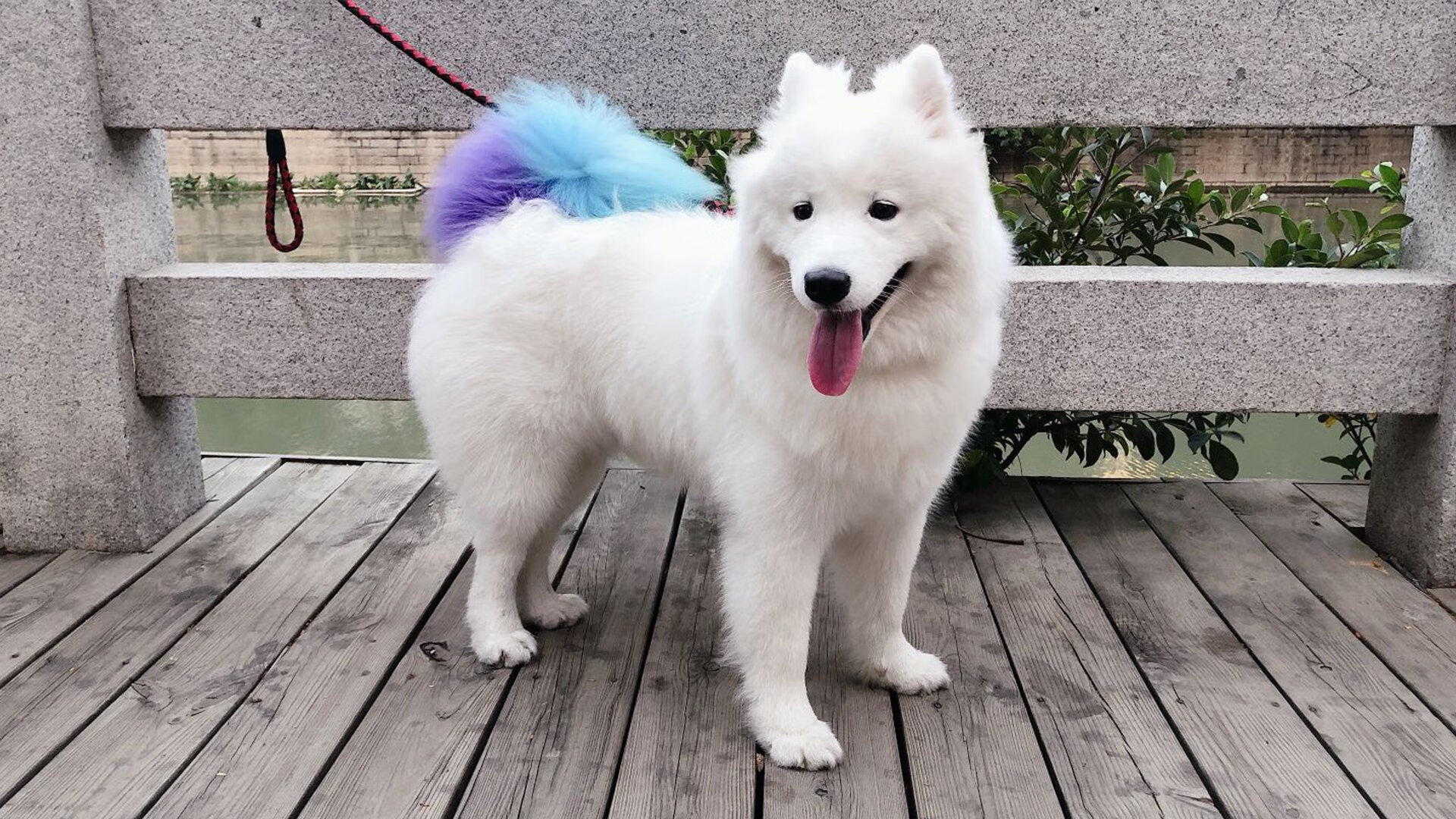 足球双城记，西甲国家德比白热化对决，尼斯欧战全面压制切尔西显黑马本色