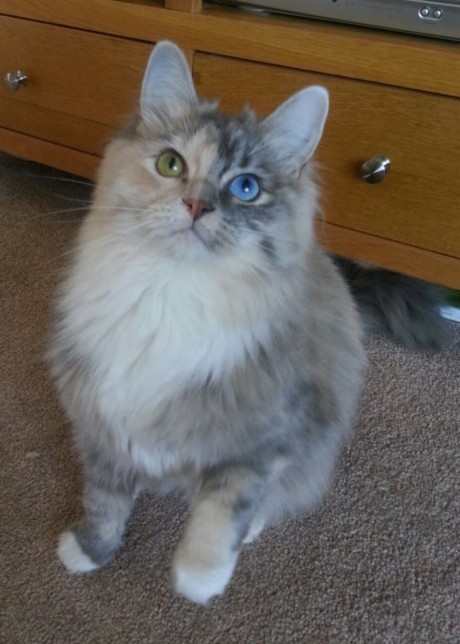 铁闸镇山河!阿劳霍欧冠封神一战 巴萨倚仗南美基石稳稳拿下莱比锡