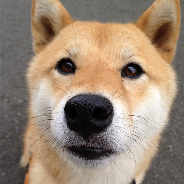 从沉默到风暴，萨内完美激活，拜仁扼住巴黎命运咽喉